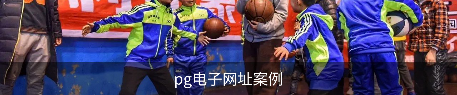pg电子网址案例